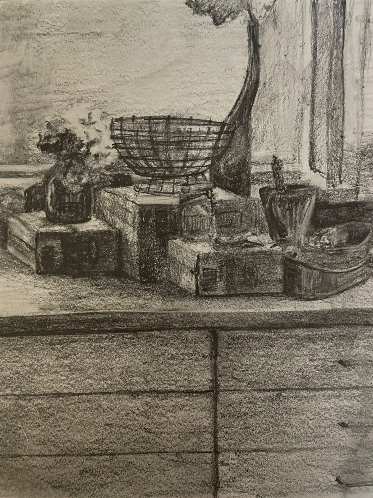 Still Life Drawing